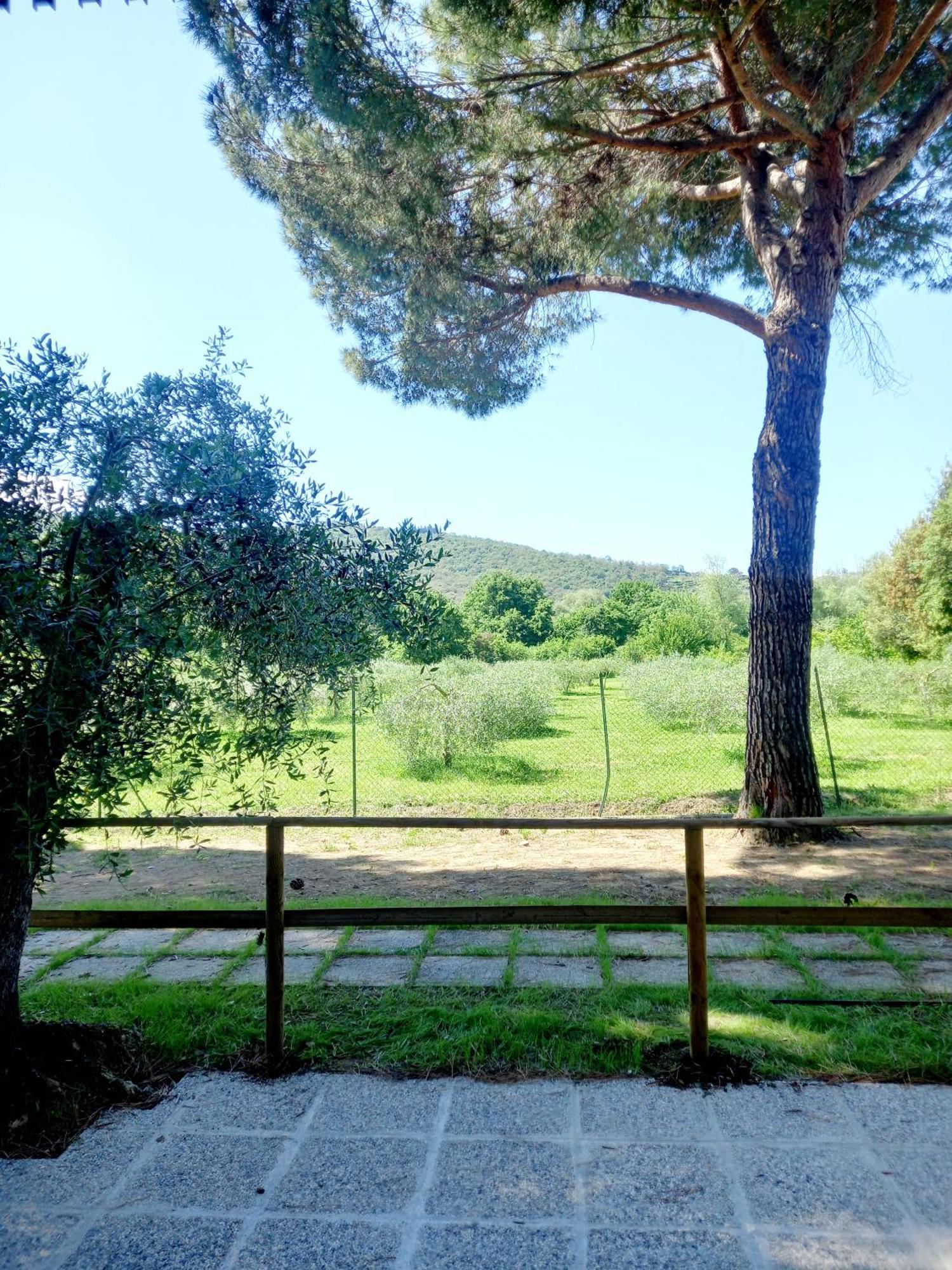 Torricella Hotel Magione